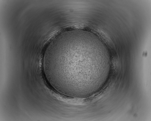 X0000100950032200807011319