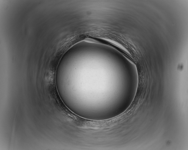 X0000100950033200807011319