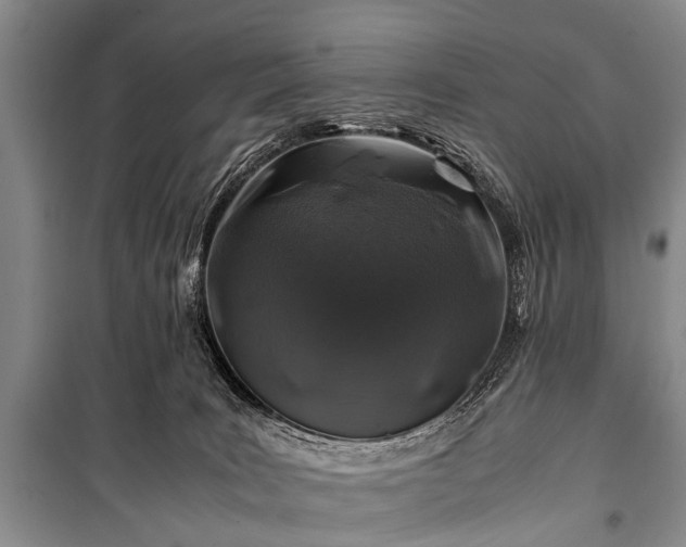 X0000100950035200807011319