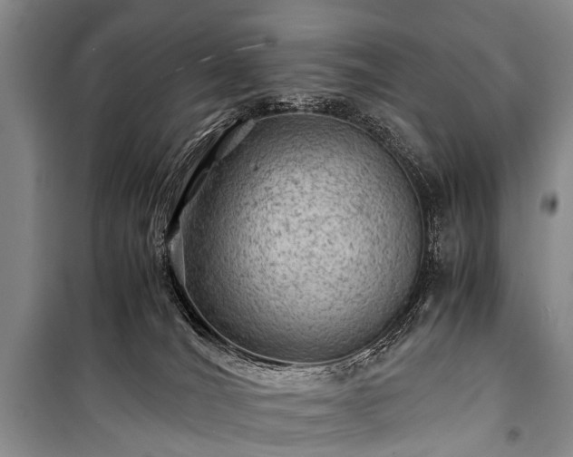 X0000100950036200807011319