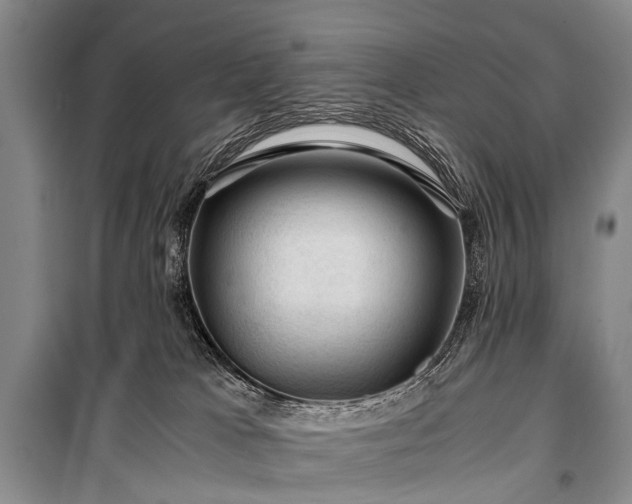 X0000100950037200807011319