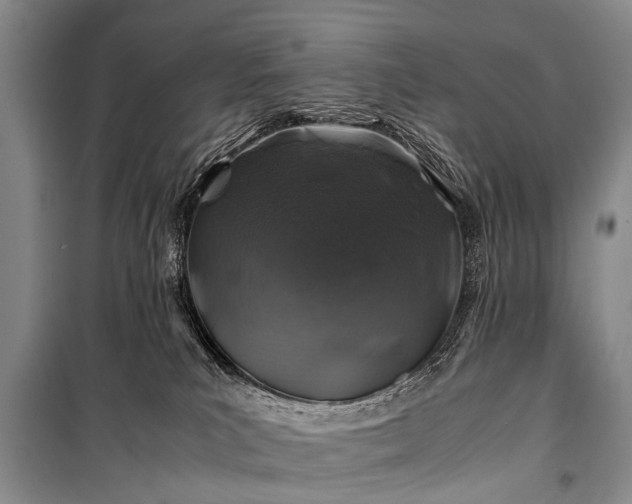 X0000100950039200807011319