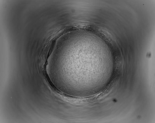 X0000100950040200807011319