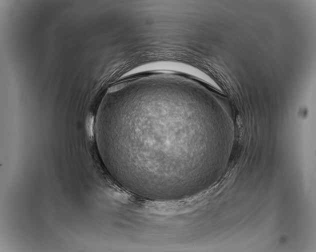 X0000100950041200807011319