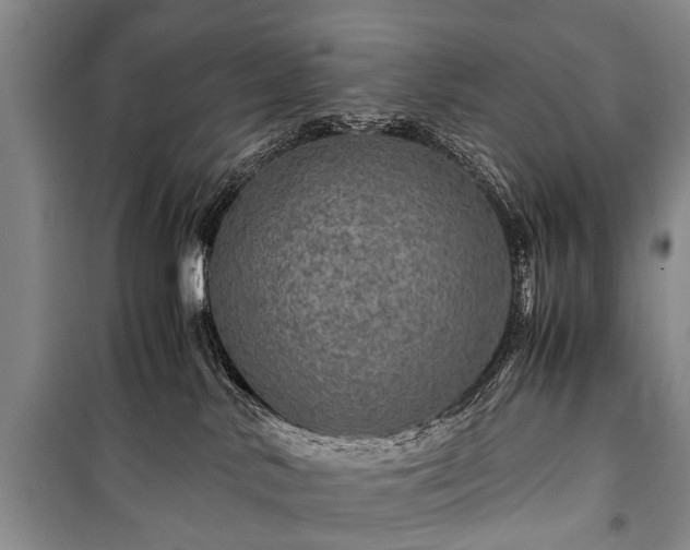 X0000100950042200807011319