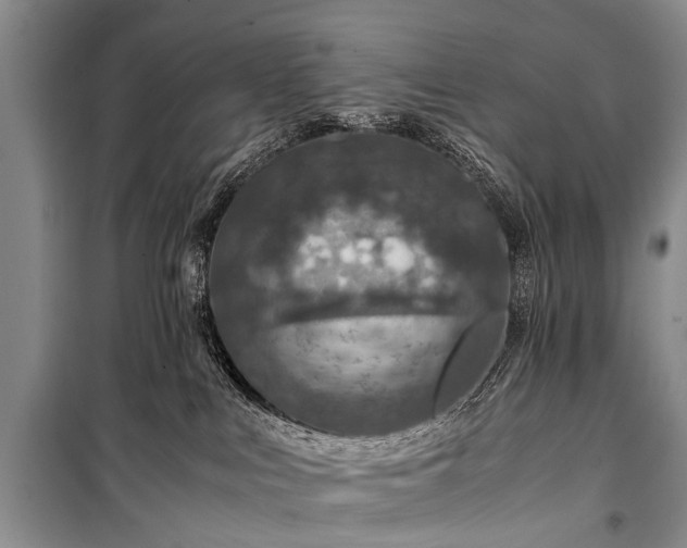 X0000100950043200807011319