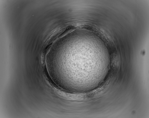 X0000100950044200807011319