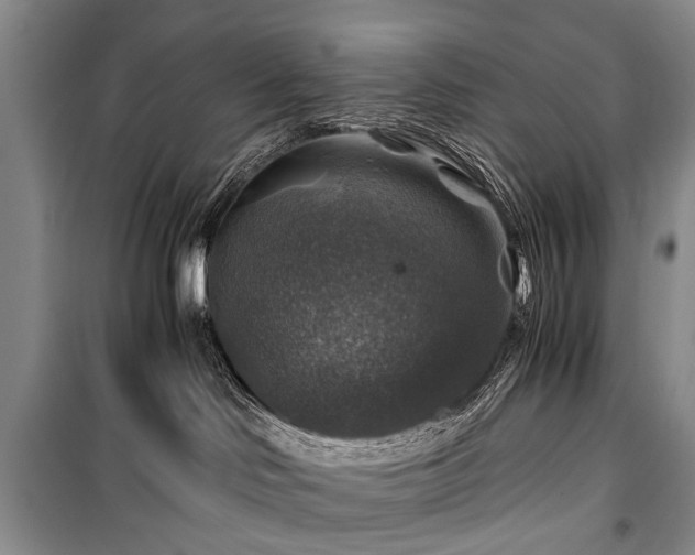 X0000100950046200807011319