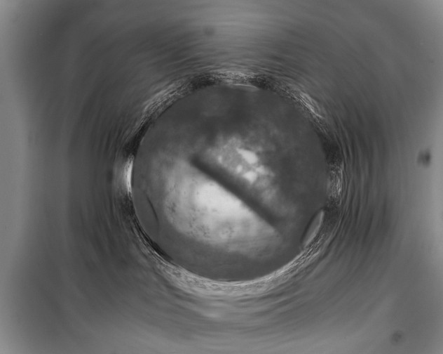 X0000100950047200807011319