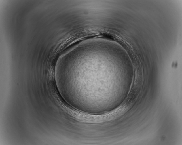 X0000100950048200807011319