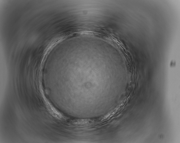 X0000100950049200807011318