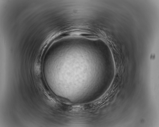 X0000100950050200807011318