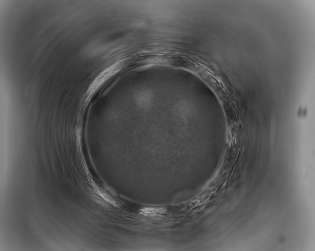 X0000100950051200807011318