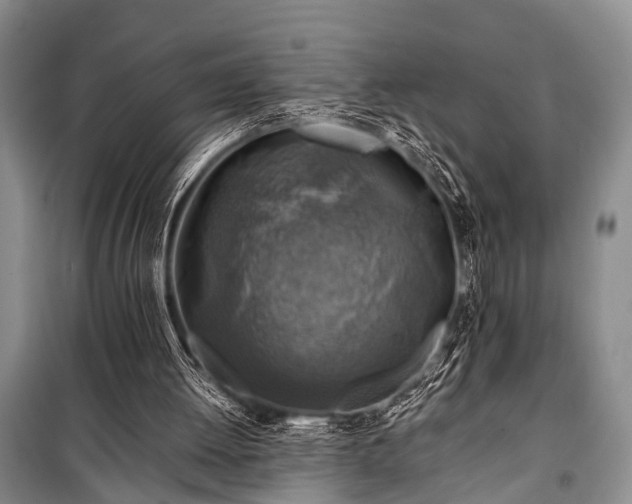 X0000100950052200807011318
