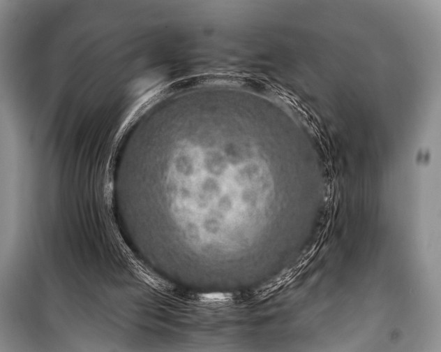 X0000100950053200807011318