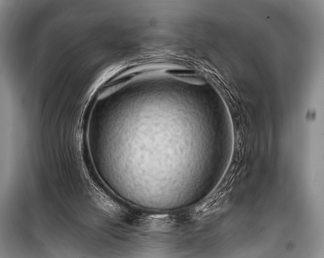 X0000100950054200807011318