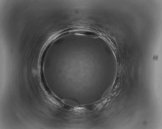 X0000100950055200807011318