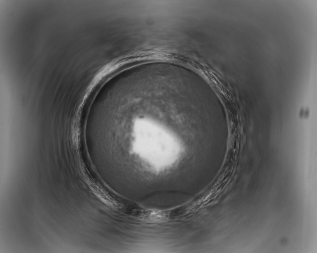 X0000100950056200807011318