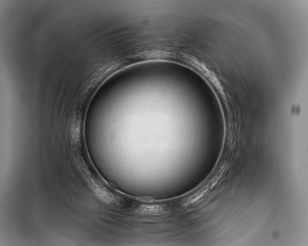 X0000100950057200807011318