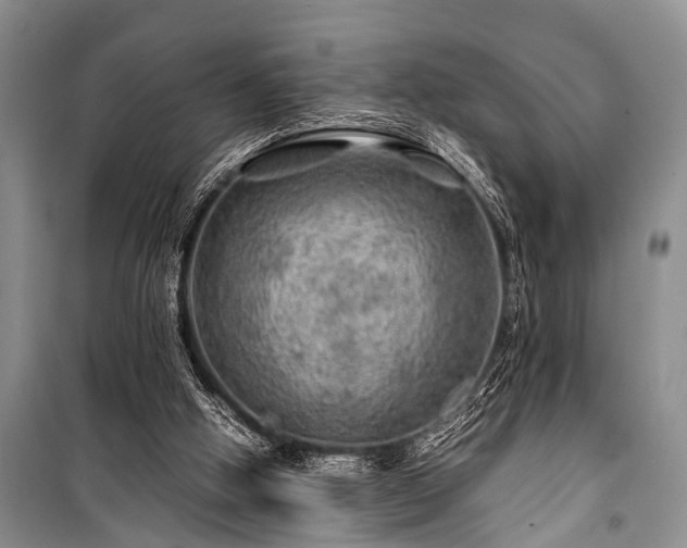 X0000100950058200807011318