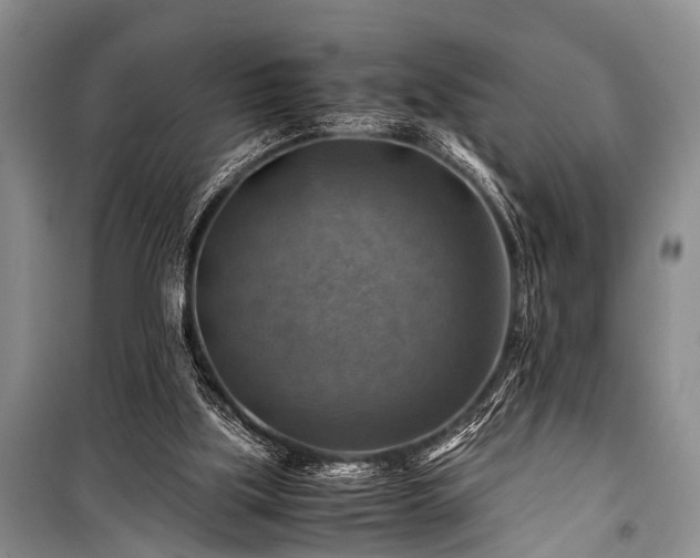 X0000100950059200807011318