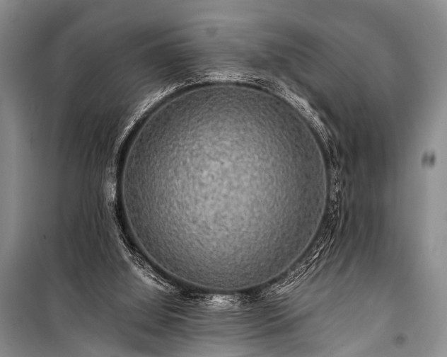 X0000100950060200807011318