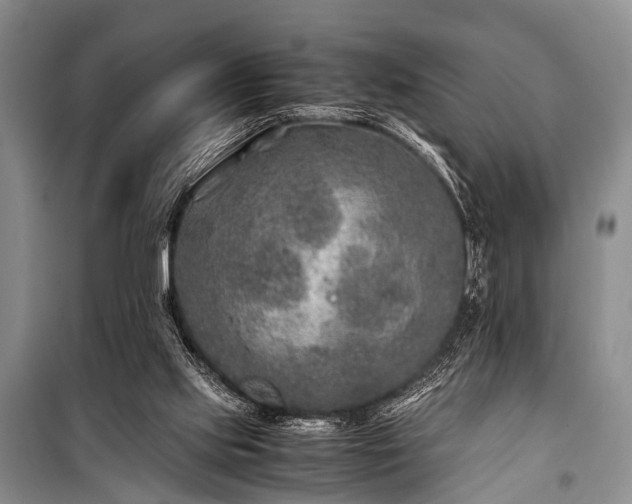 X0000100950061200807011318