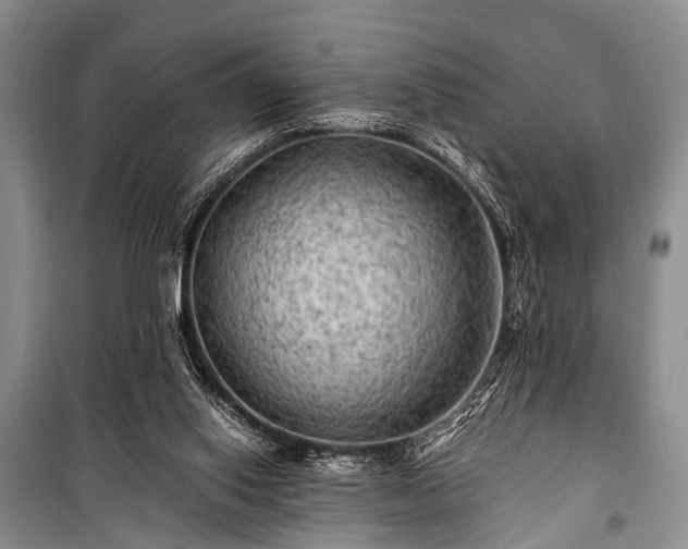 X0000100950062200807011318