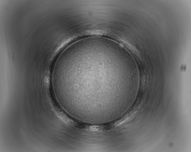 X0000100950064200807011318