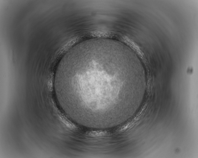 X0000100950065200807011318