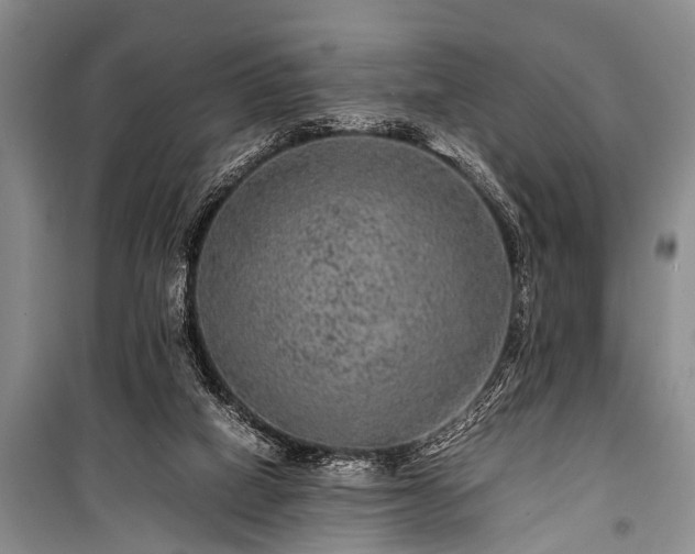 X0000100950066200807011318