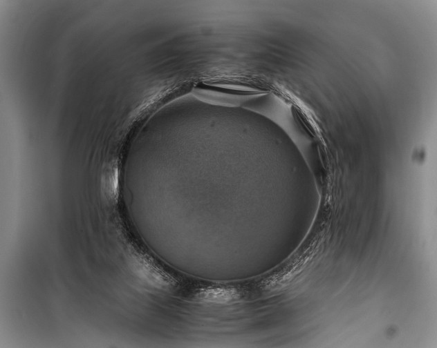 X0000100950067200807011318