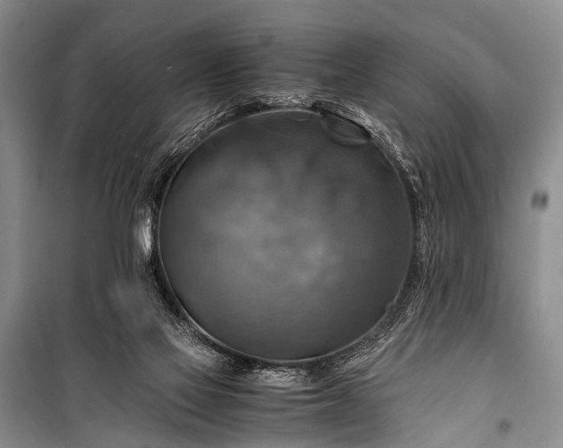 X0000100950069200807011318