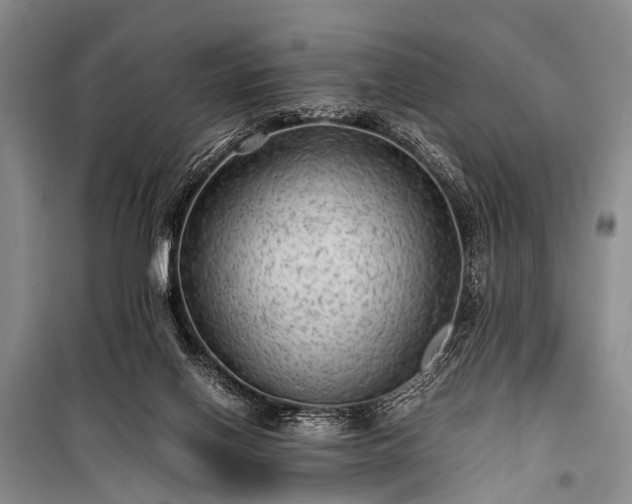 X0000100950070200807011318