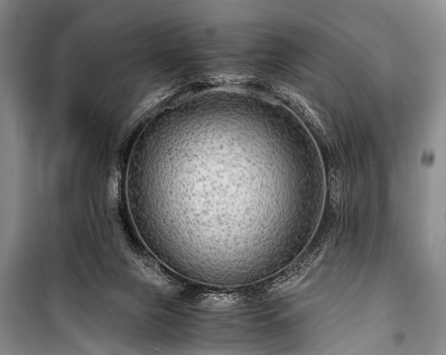 X0000100950071200807011318