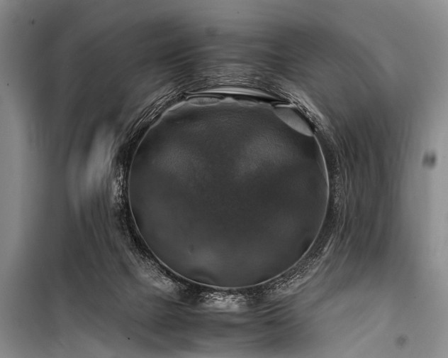 X0000100950073200807011318