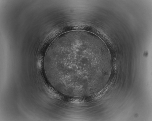 X0000100950074200807011318