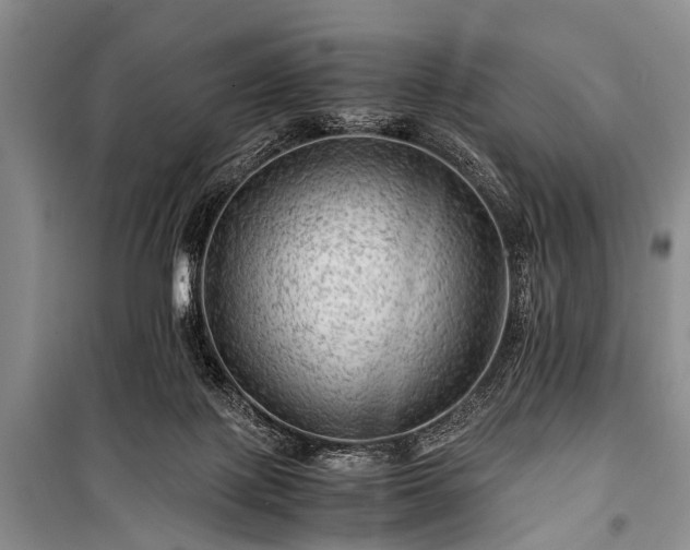 X0000100950075200807011318