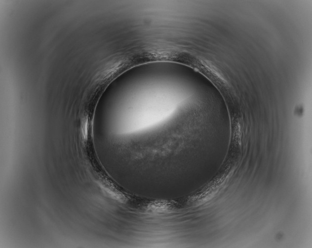 X0000100950076200807011318