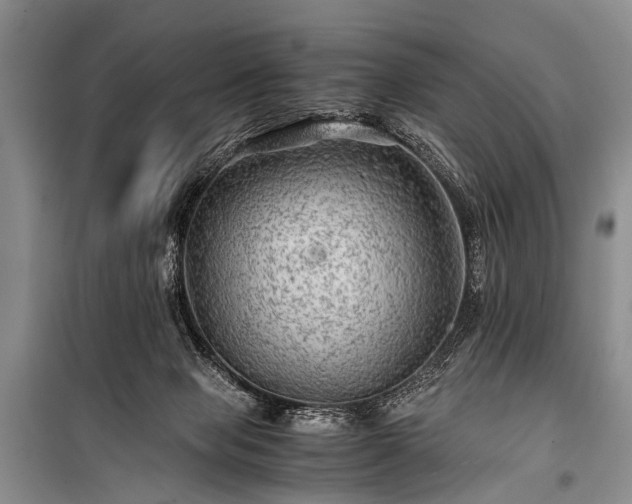 X0000100950077200807011318