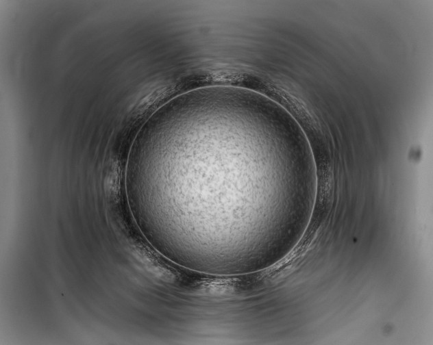 X0000100950078200807011318