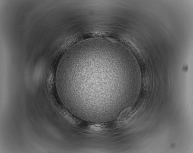 X0000100950079200807011318