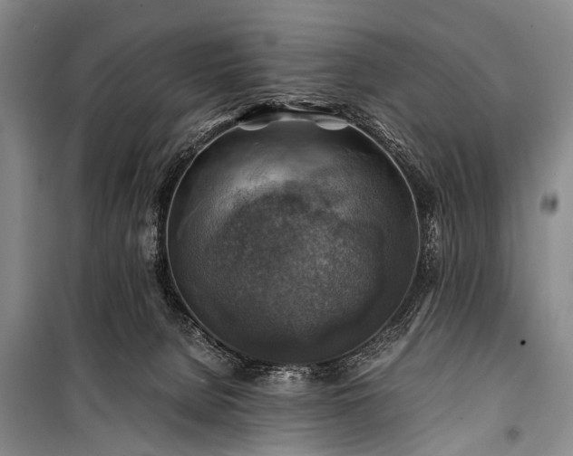 X0000100950080200807011318