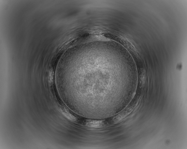 X0000100950081200807011318