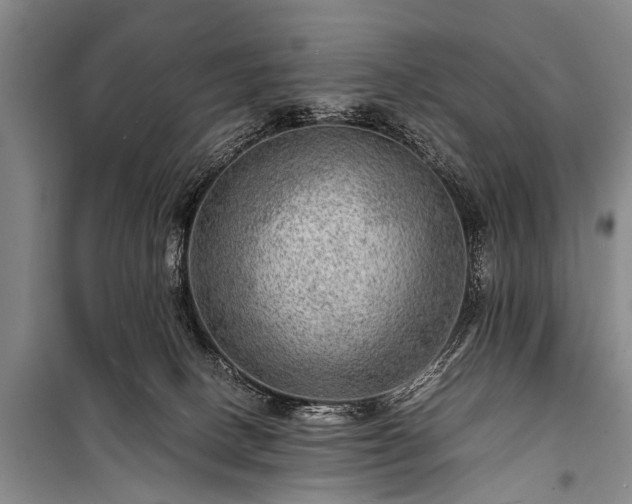 X0000100950082200807011318