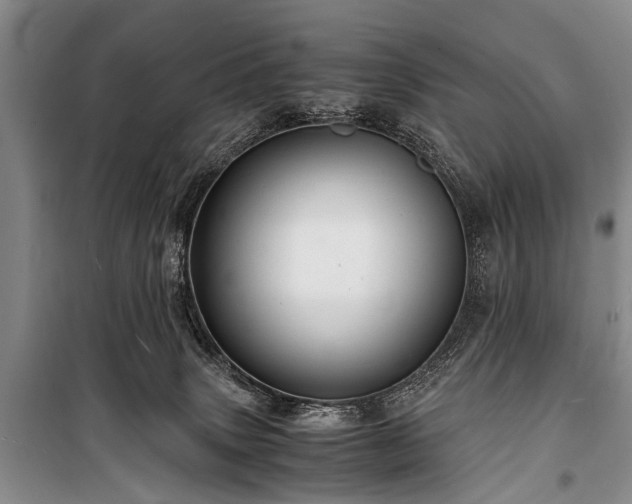 X0000100950083200807011318