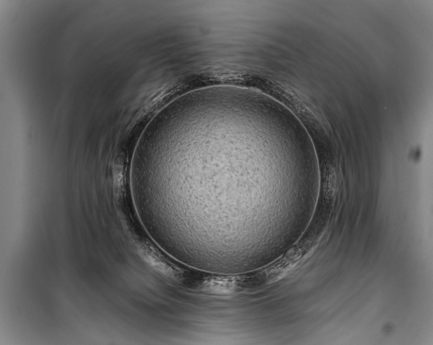 X0000100950084200807011318