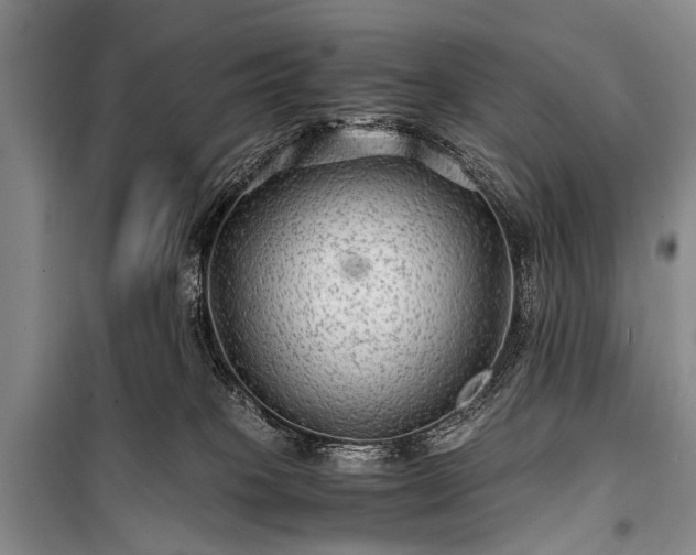 X0000100950085200807011318