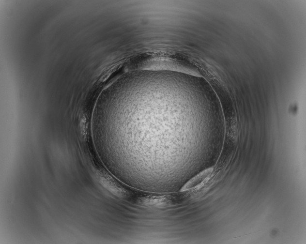 X0000100950086200807011318