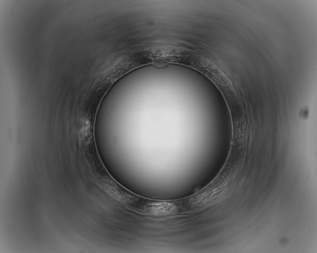 X0000100950087200807011318